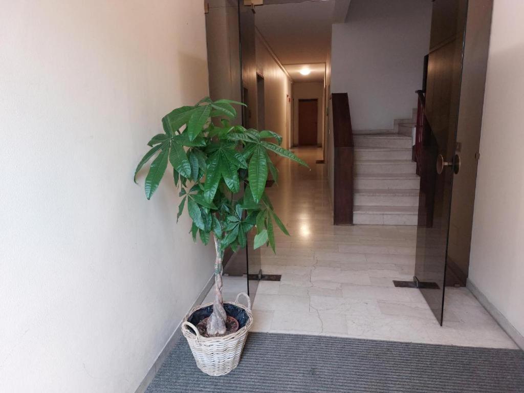In Blu Santo Ospedale Apartment Padova Luaran gambar